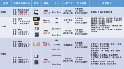 千寻信息携物联网通信数字化解决方案亮相IOTE上海物联网展